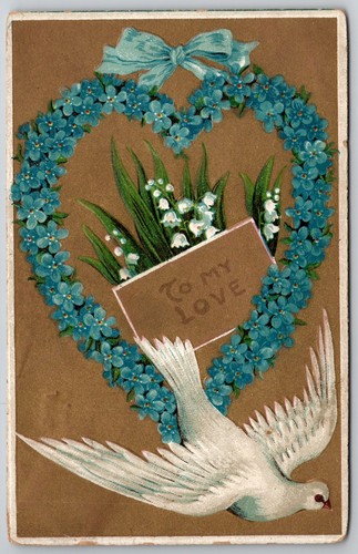 1899 embossed forget not - 1899, forget-me-not