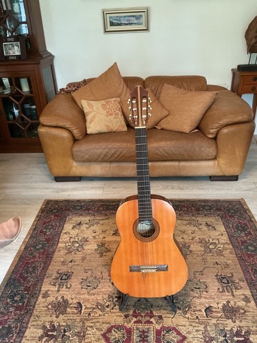 Hondo classical guitar - hondo,