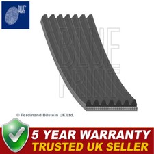 Blue Print Alternator Belt