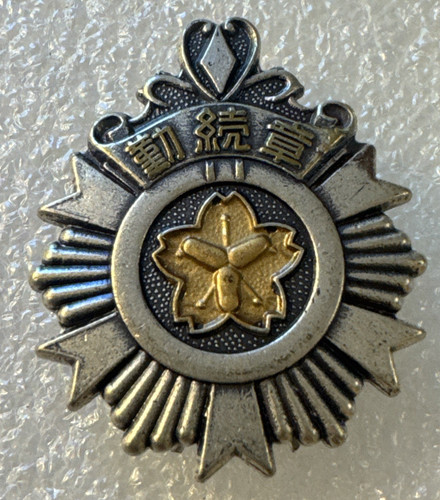 Japan fire brigade winner - fire,