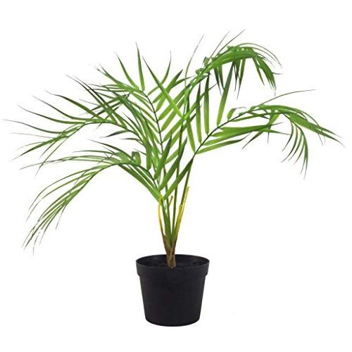 50cm leaf design - design, realistic