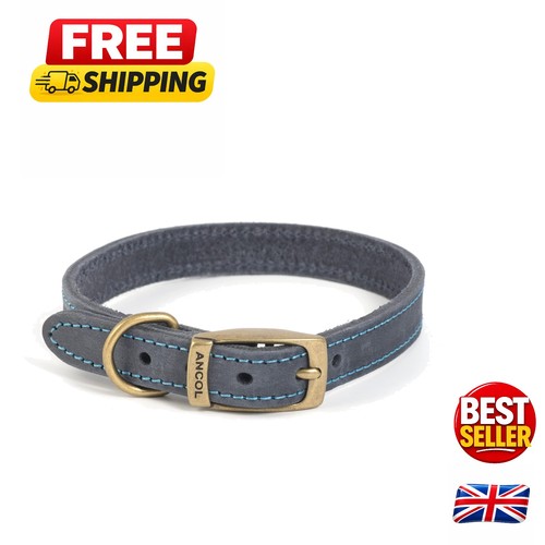 Elegant blue leather dog - blue,