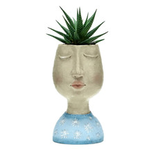 Pot Face Plant Planter Flower