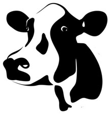 dairy cow head decal farm
