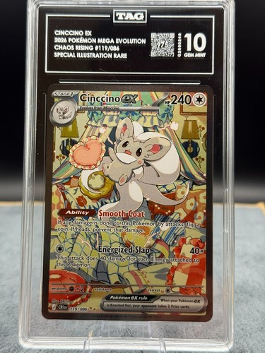 Tag cinccino ex sir - 🏆,