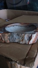 Petrified Wood Fossil Trinket