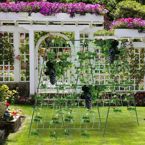 Cucumber trellis for garden - cucumber,