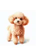 Wonderful Dog Keepsake Cards -