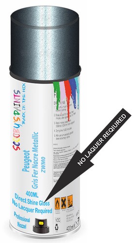 Aerosol spray paint for - spray,