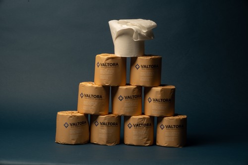Bamboo toilet paper - toilet,