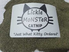 Catnip -  Premium Natural