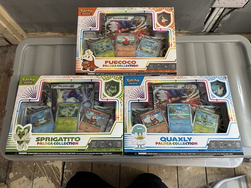 Pokémon tcg paldea collection - pokémon,