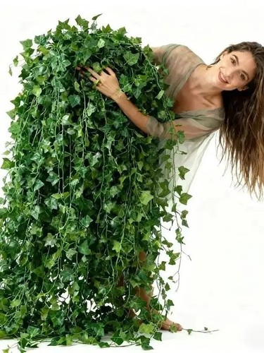 Pack feet fake ivy - 12,