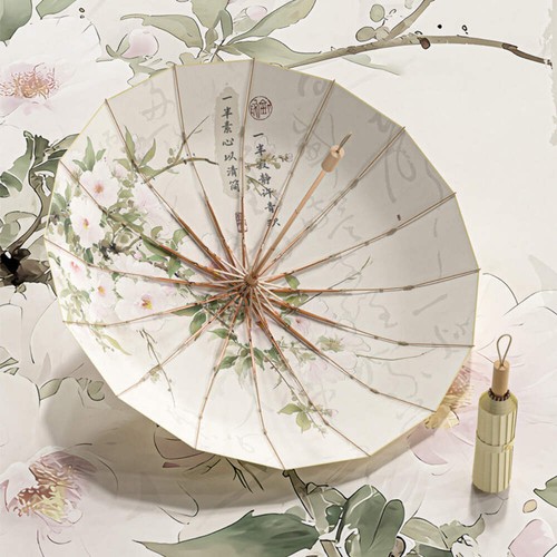 Protection umbrella - protection,