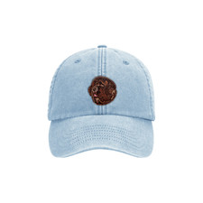 BROWN NEWFOUNDLAND DOG