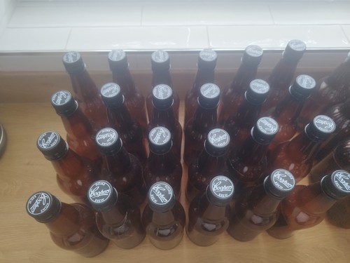 Coopers 500ml pet beer - 24,