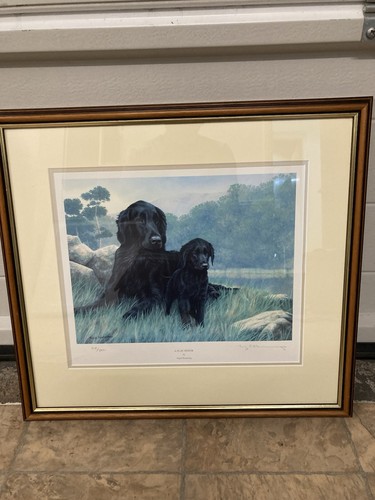 Nigel hemming print - nigel,