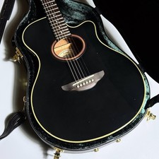 YAMAHA APX5A (no260420)