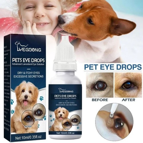 Dog cat eye drops cataracts - dog, drops/cataracts
