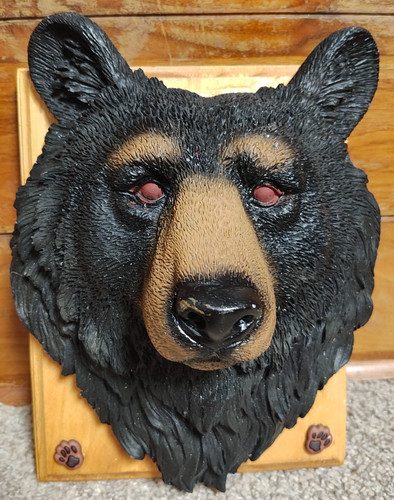 Black bear head wall décor - bear,