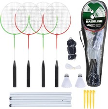 Professional Badminton 4