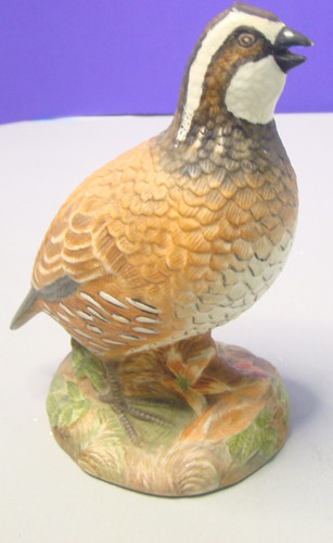 Vintage bobwhite quail - vintage,