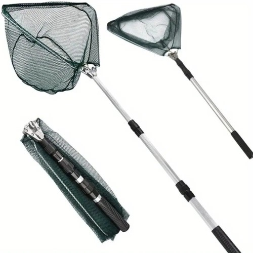 Pond fish catch net - fish,