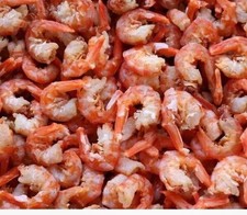 100% Natural Zhoushan Large