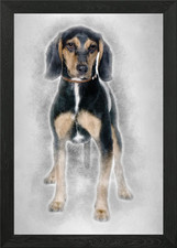 Cross breed with a Beagle