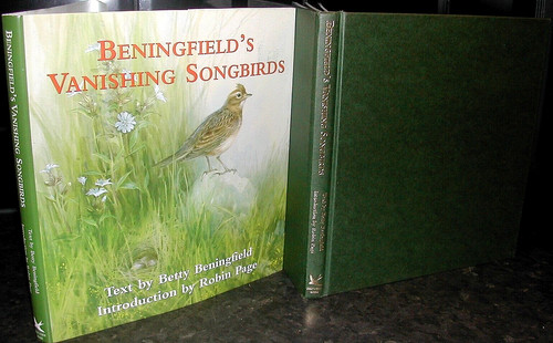Beningfield vanishing - beningfield’s,