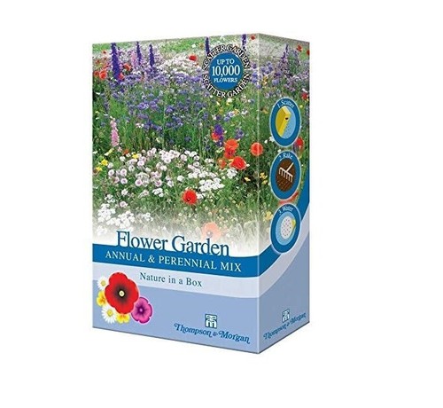 Mixed perennial garden - garden, flower