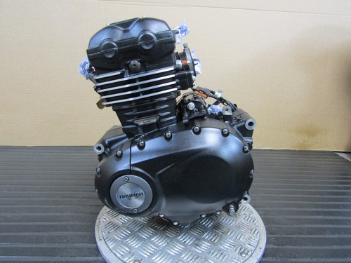 Triumph speed 400 2024 engine
