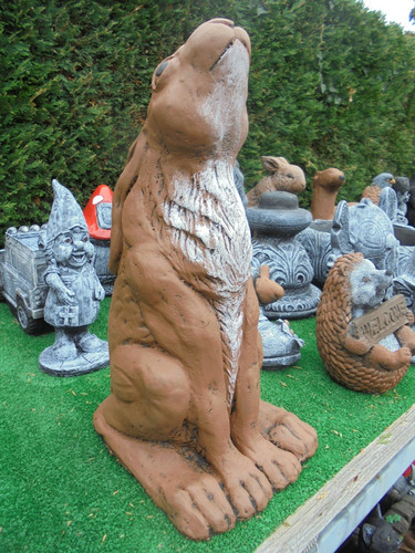 Moon gazing hare - gazing, hare,