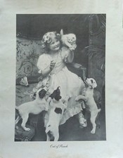 SMOOTH FOX TERRIER & White