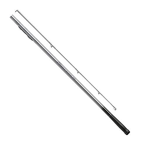 Daiwa surf casting - surf, rod