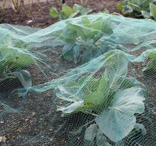 Butterfly garden netting stop - netting,