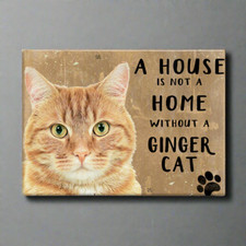 Ginger Cat Funny Cute Novelty