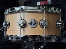 DW 14 x 6 Collectors Maple