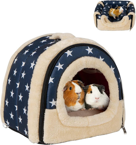 Guinea pig rabbit - pig,