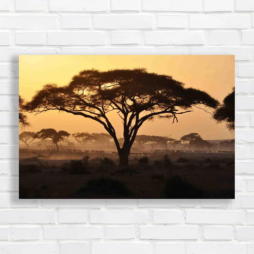 African tree sunset canvas - sunset,