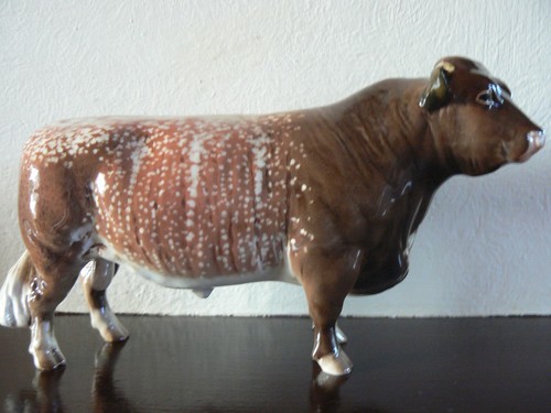 Beswick dairy shorthorn - dairy, bull