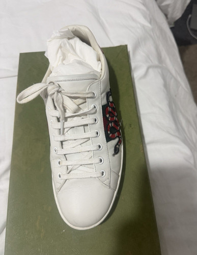 Gucci ace snake - gucci,