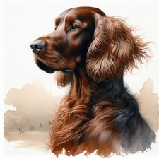 IRISH SETTER Watercolour ART