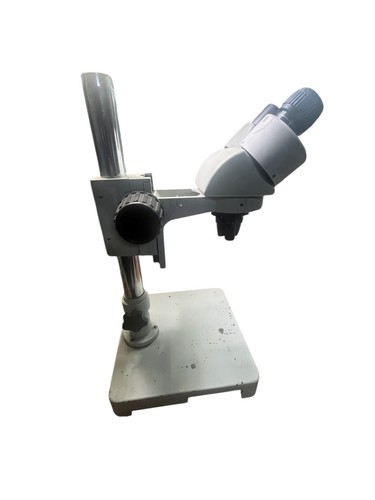 Amscope trinocular microscope - trinocular,
