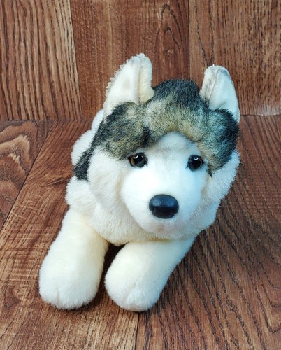 Phoenix the wolf pup douglas - wolf,