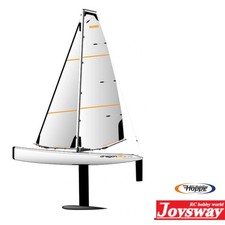 Joysway JW8811V3PNP Dragon