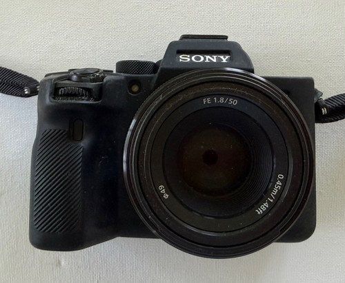Sony a7r digital - digital, camera