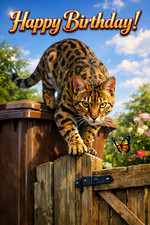 Bengal Leopard Cat Birthday