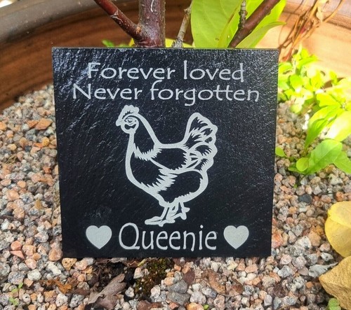 Chicken memorial slate