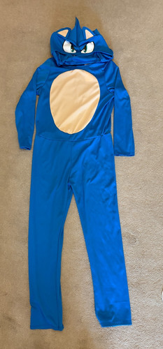 Sonic the hedgehog costume - costume,